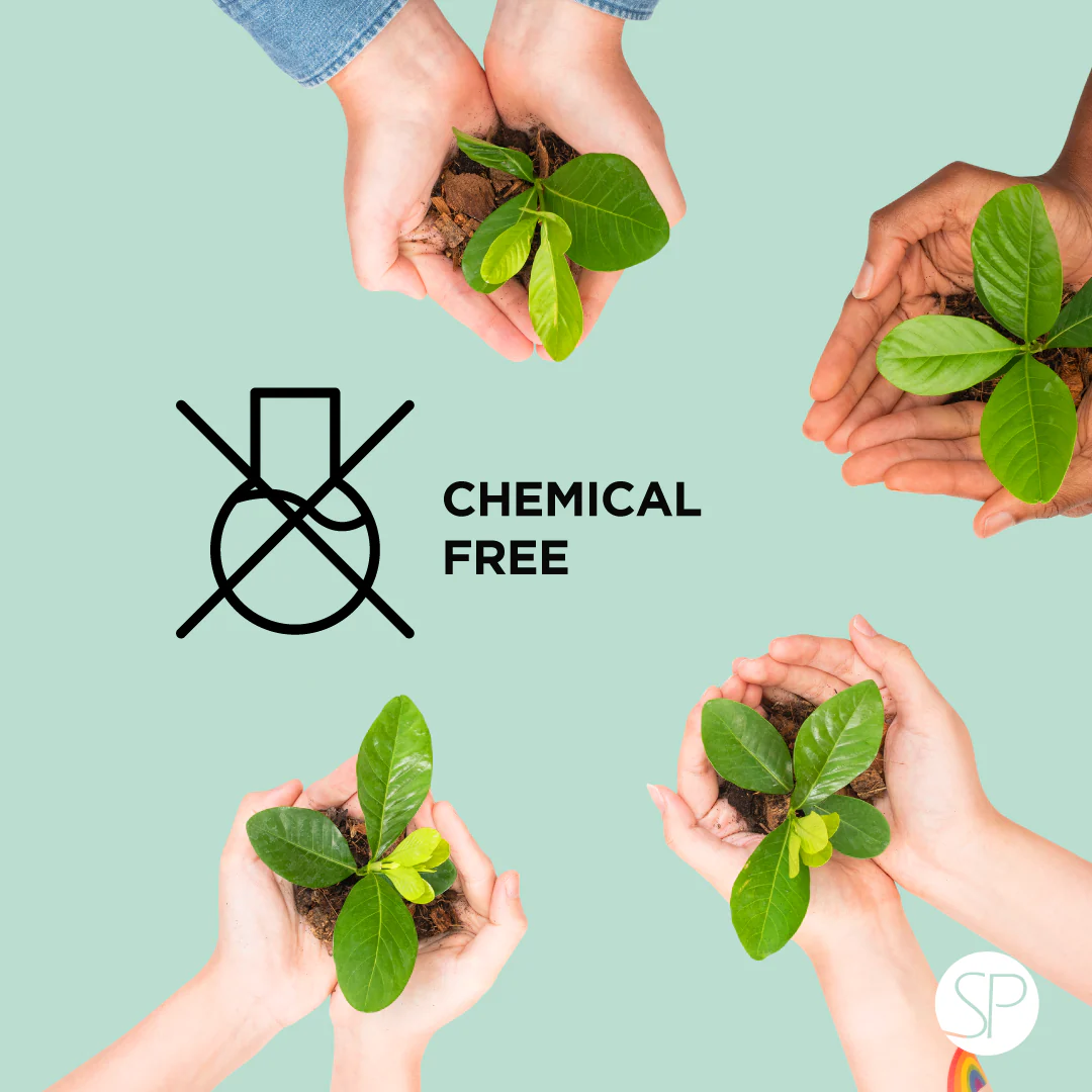 100% Organic Sunscreen - Kids - Image 21